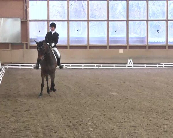 Reitturnier Großostheim 2016