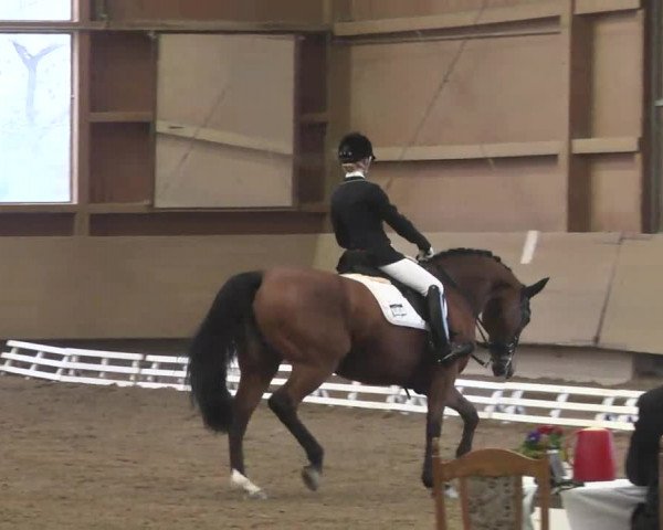 Reitturnier Großostheim 2016