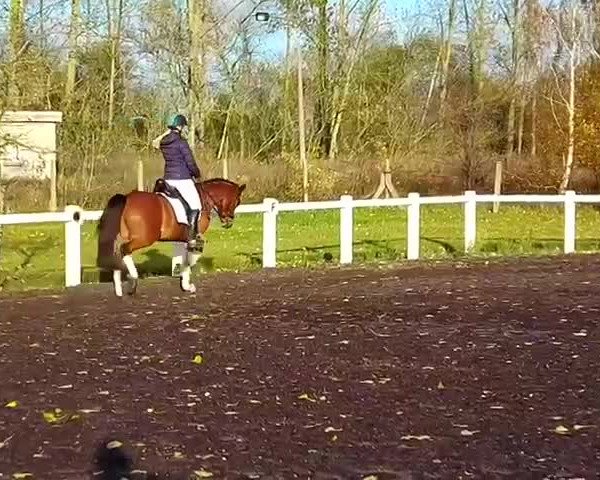 Video von Rocketman 11