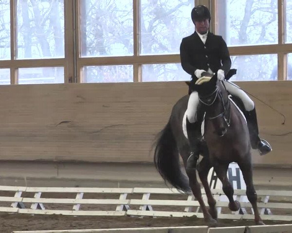 Reitturnier Großostheim 2016