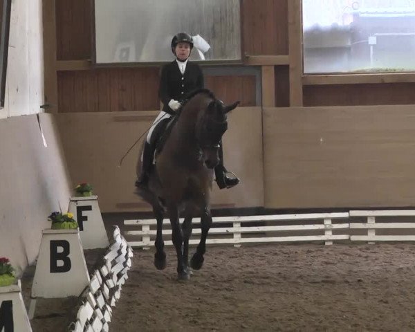 Reitturnier Großostheim 2016