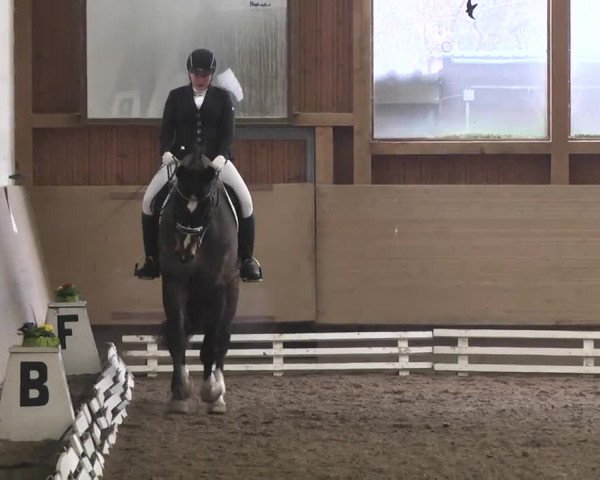 Reitturnier Großostheim 2016