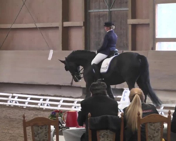Reitturnier Großostheim 2016