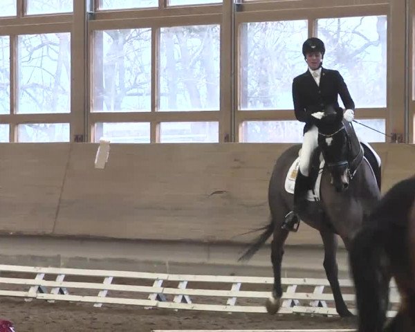 Reitturnier Großostheim 2016