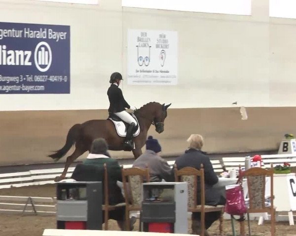 Reitturnier Großostheim 2016