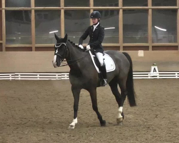 Reitturnier Großostheim 2016