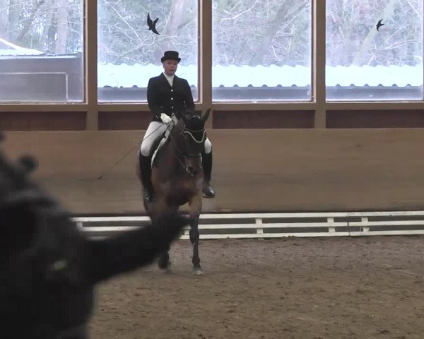 Reitturnier Großostheim 2016
