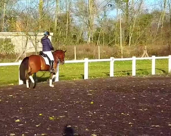 Video von Rocketman 11
