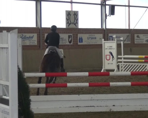 Reitturnier Lembeck 2016