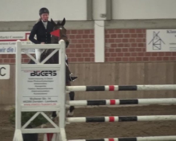 Reitturnier Lembeck 2016