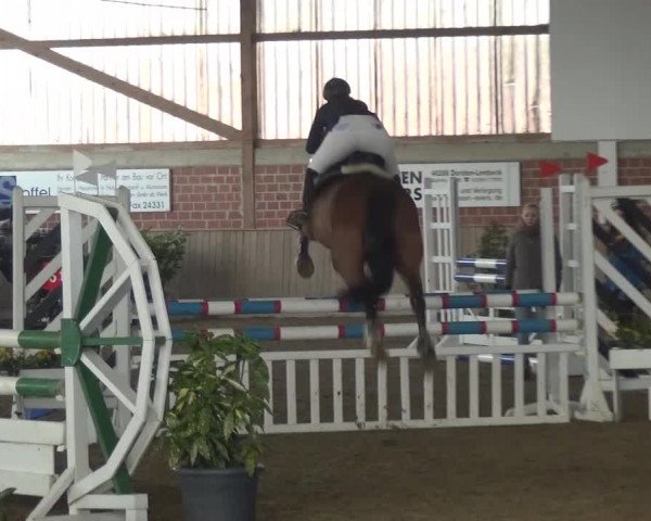 Reitturnier Lembeck 2016