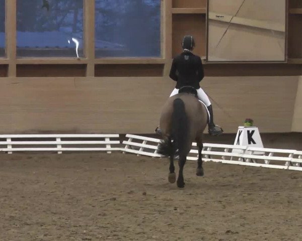 Reitturnier Großostheim 2016