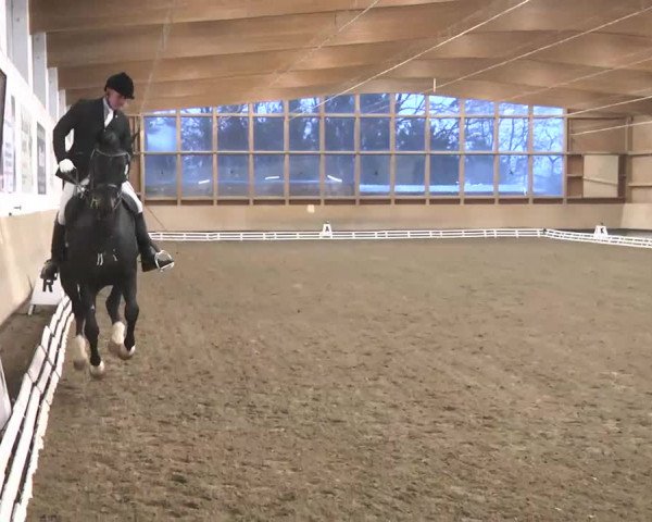 Reitturnier Großostheim 2016