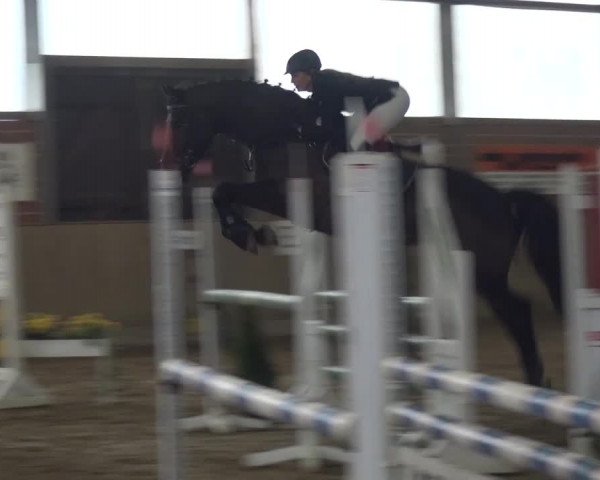 Reitturnier Lembeck 2016