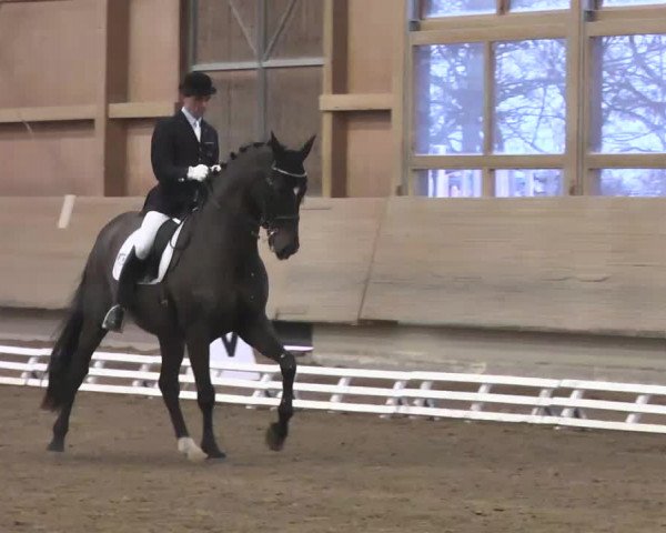 Reitturnier Großostheim 2016
