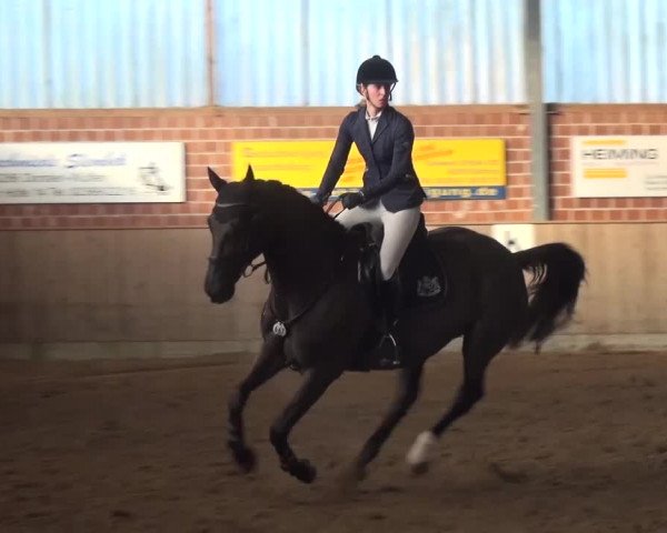 Reitturnier Lembeck 2016