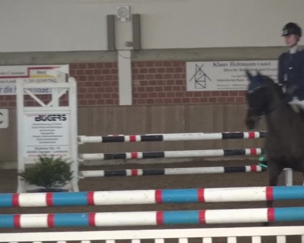 Reitturnier Lembeck 2016