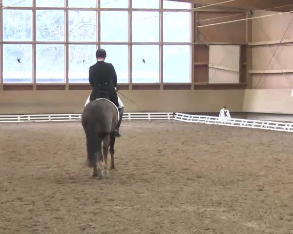 Reitturnier Großostheim 2016