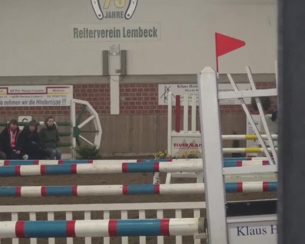 Reitturnier Lembeck 2016