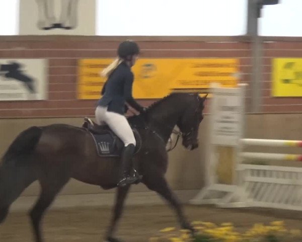Reitturnier Lembeck 2016