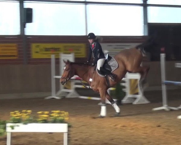 Reitturnier Lembeck 2016