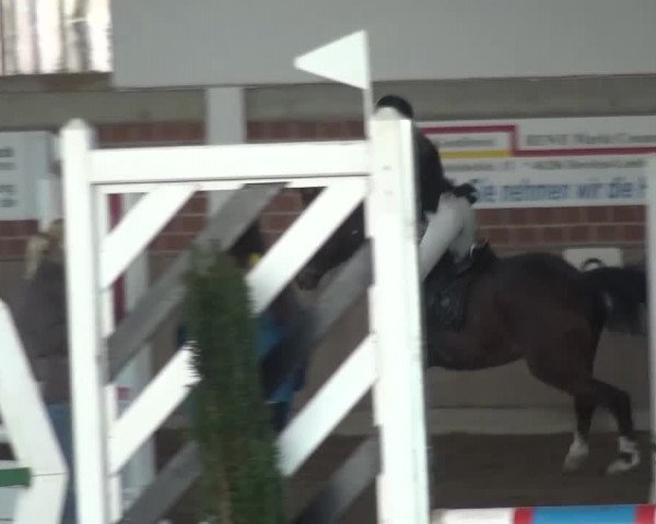 Reitturnier Lembeck 2016