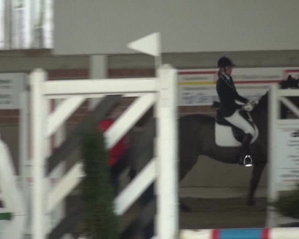 Reitturnier Lembeck 2016