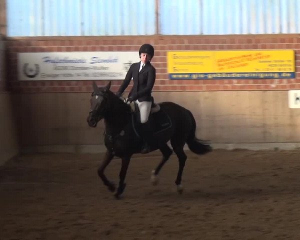 Reitturnier Lembeck 2016