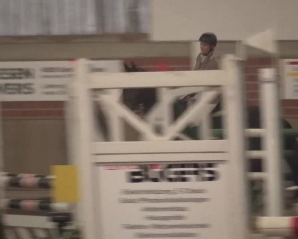 Reitturnier Lembeck 2016