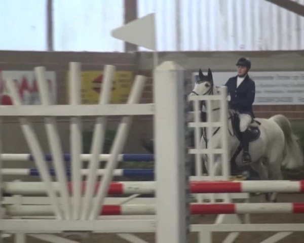Reitturnier Lembeck 2016
