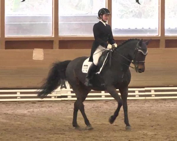 Reitturnier Großostheim 2016