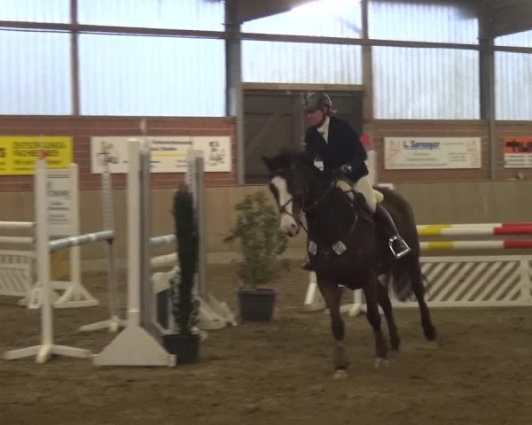 Reitturnier Lembeck 2016