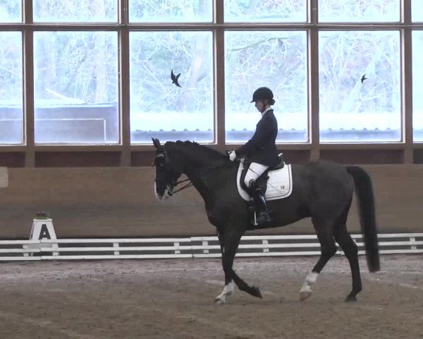 Reitturnier Großostheim 2016