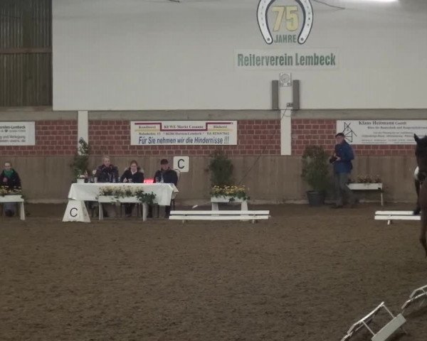 Reitturnier Lembeck 2016