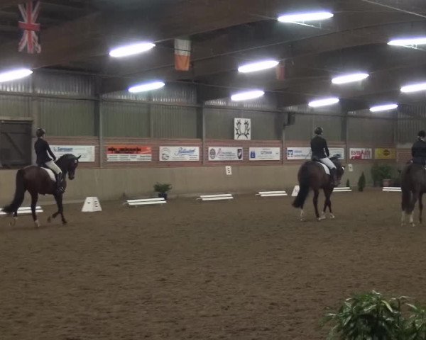 Reitturnier Lembeck 2016