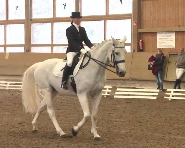 Reitturnier Großostheim 2016