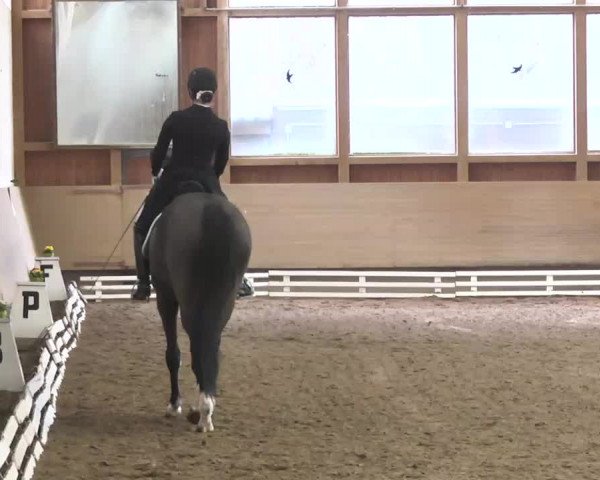 Reitturnier Großostheim 2016