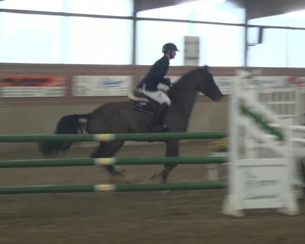 Reitturnier Lembeck 2016