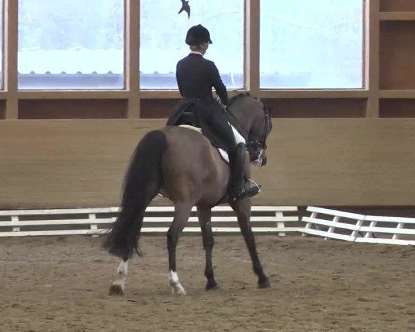 Reitturnier Großostheim 2016