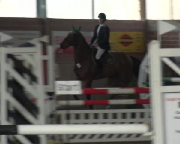 Reitturnier Lembeck 2016