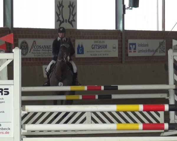Reitturnier Lembeck 2016