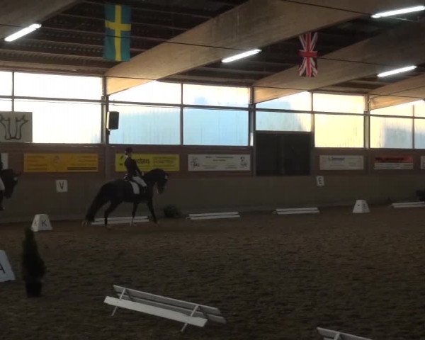 Reitturnier Lembeck 2016