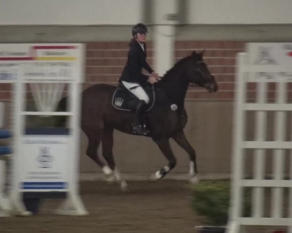 Reitturnier Lembeck 2016