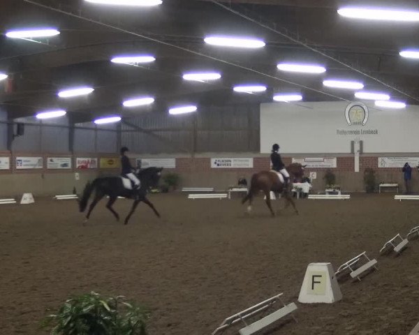 Reitturnier Lembeck 2016