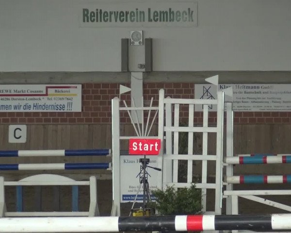 Reitturnier Lembeck 2016