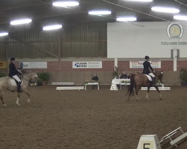 Reitturnier Lembeck 2016