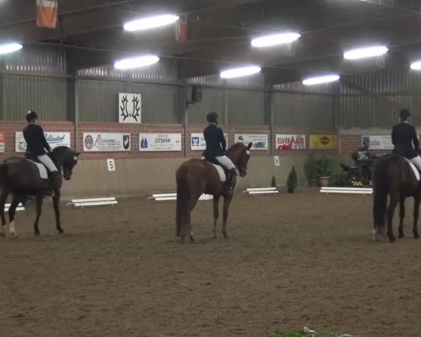 Reitturnier Lembeck 2016