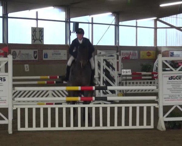 Reitturnier Lembeck 2016
