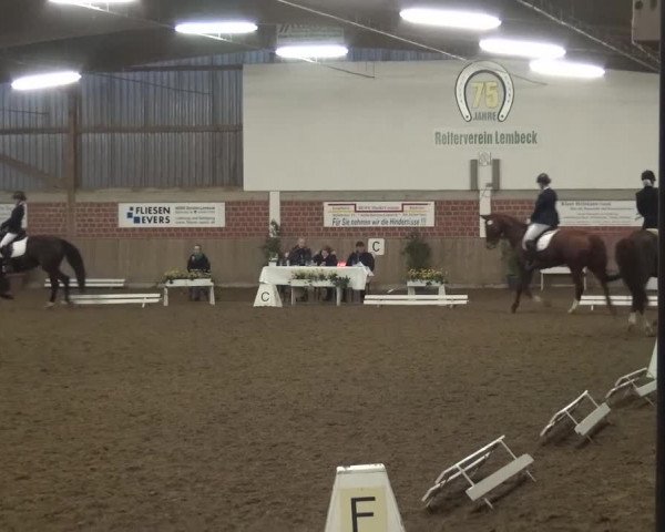 Reitturnier Lembeck 2016