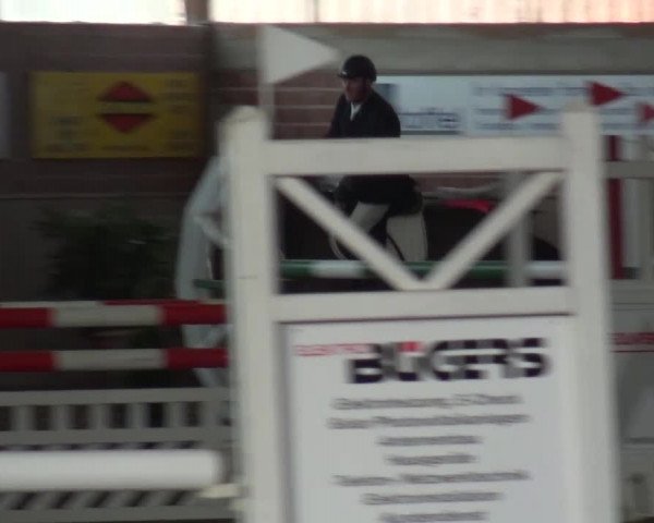 Reitturnier Lembeck 2016